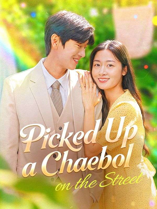 Picked Up a Chaebol on the Street poster