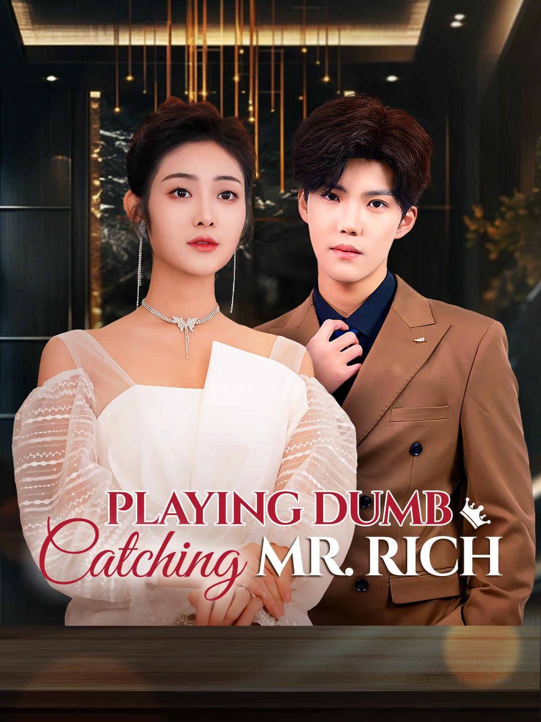 Playing Dumb, Catching Mr. Rich poster