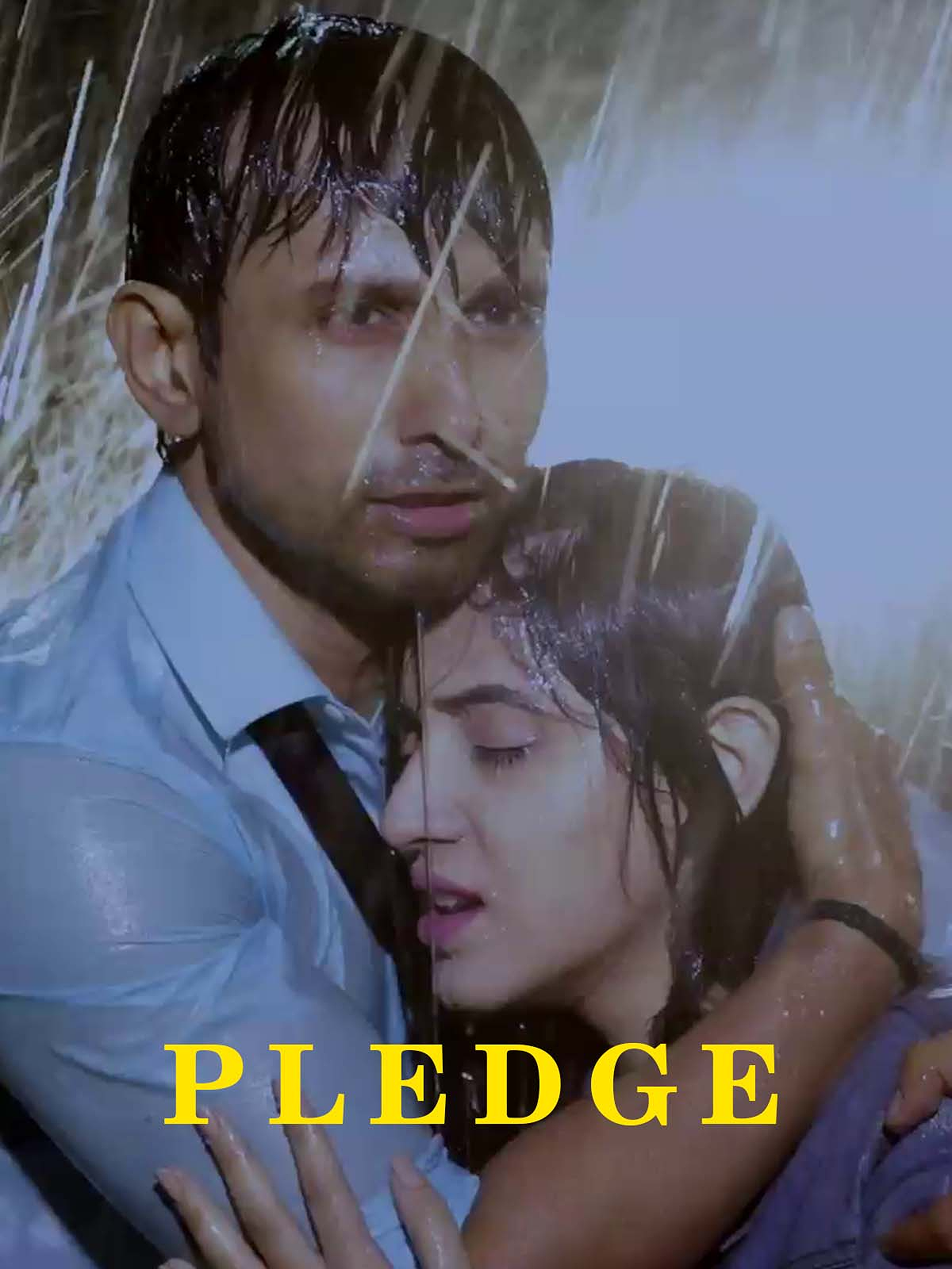 Pledge poster