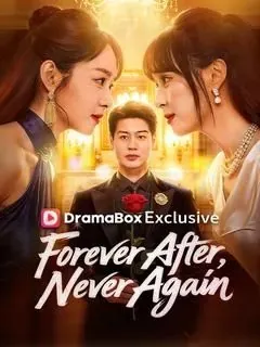 Forever After, Never Again poster
