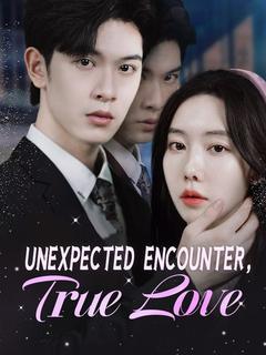 Unexpected Encounter, True Love poster