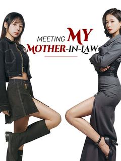Meeting My Mother-in-Law poster