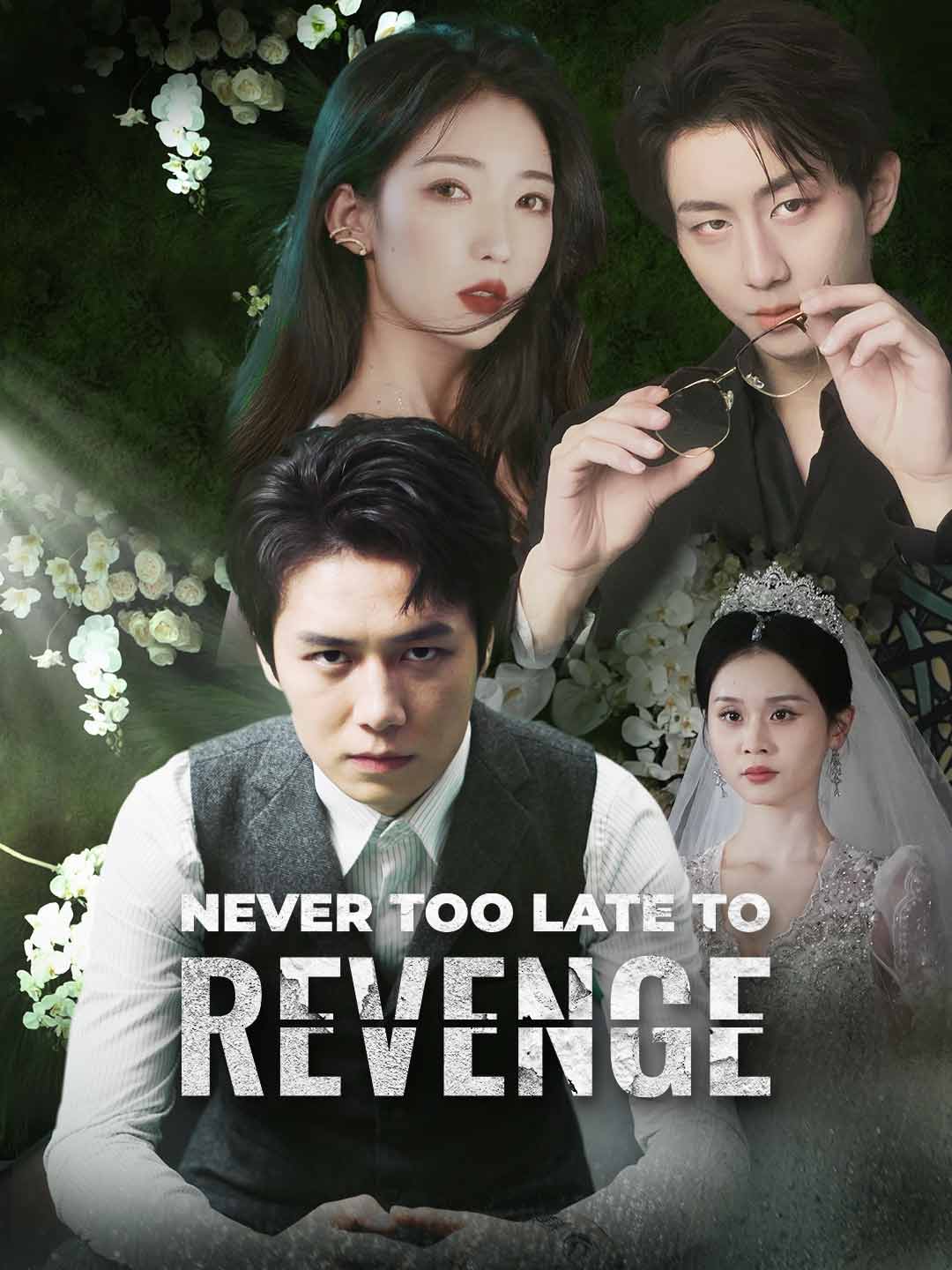 Never Too Late to Revenge (English-dubbed) poster