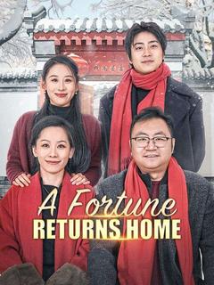A Fortune Returns Home poster