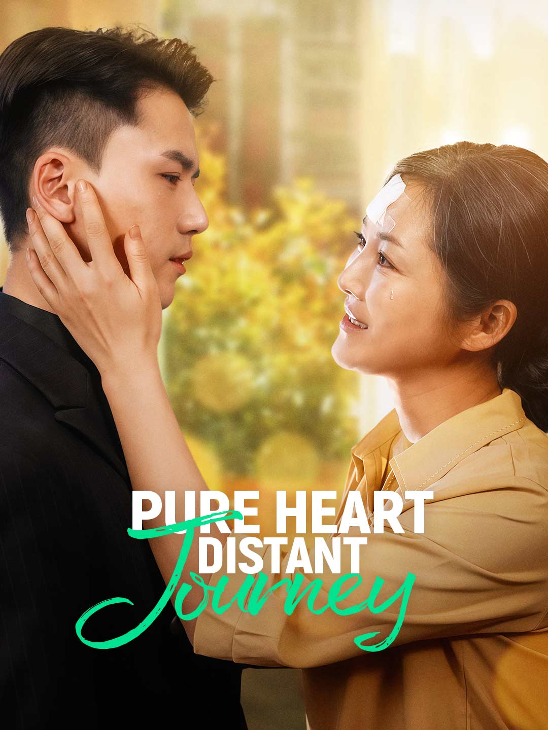 Pure heart, distant journey poster