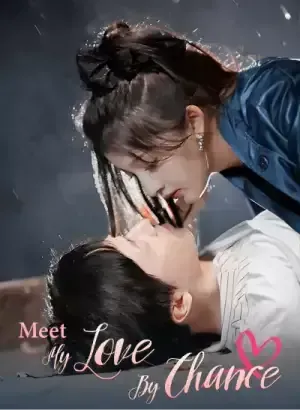 Meet My Love by Chance poster