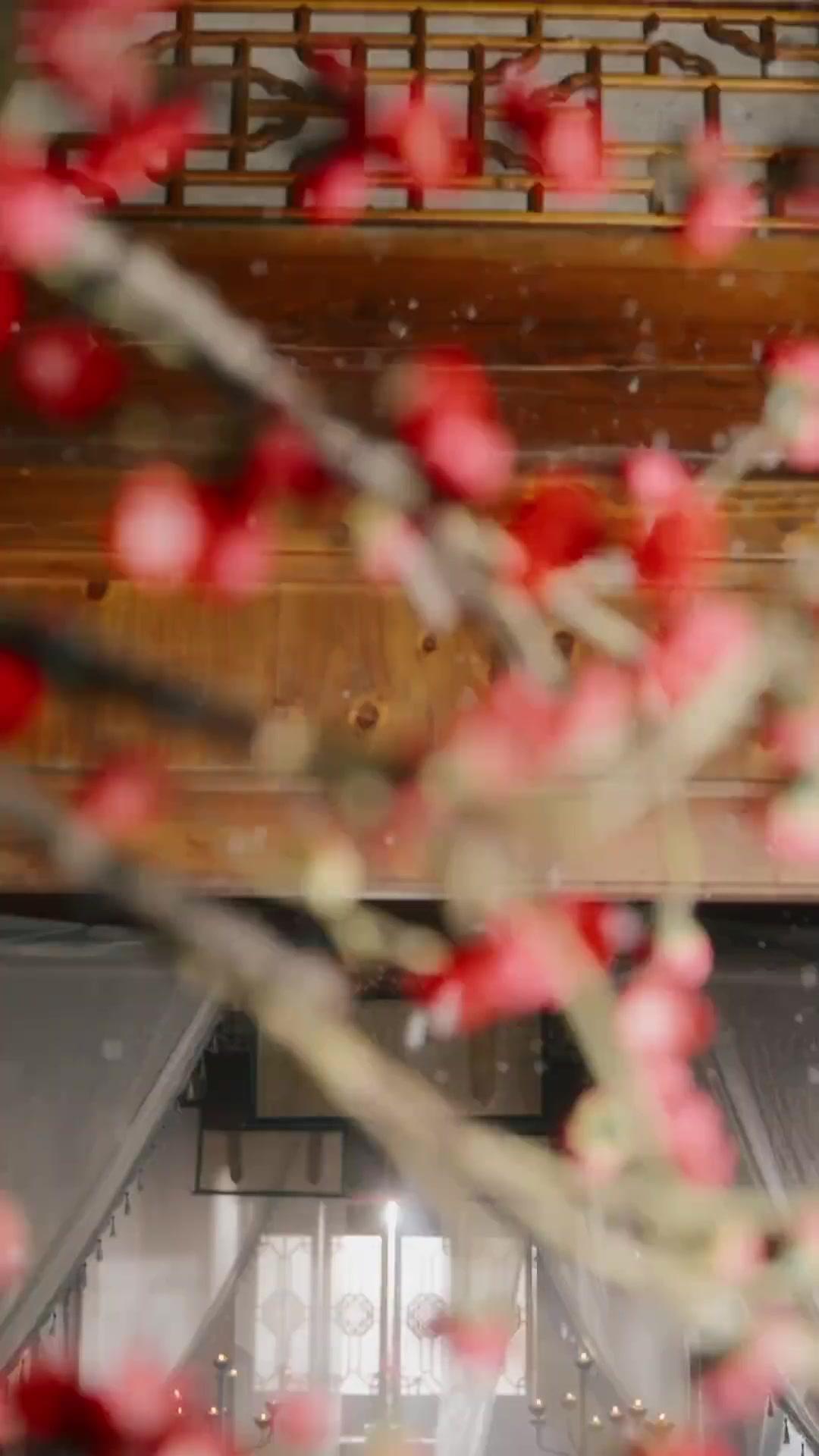 Rebirth: From Pawn to Queen poster