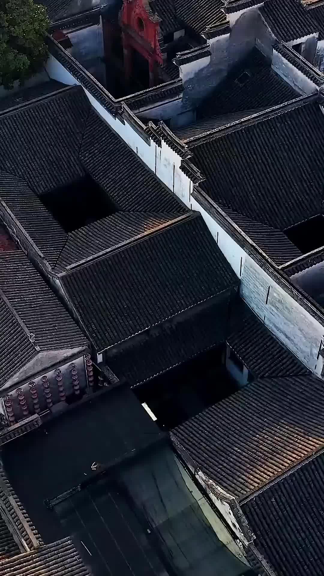 Rise of the Outcast poster