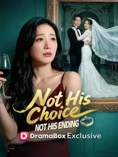 Not His Choice, Not His Ending poster