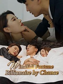 Windfall Fortune: Billionaire by Chance poster