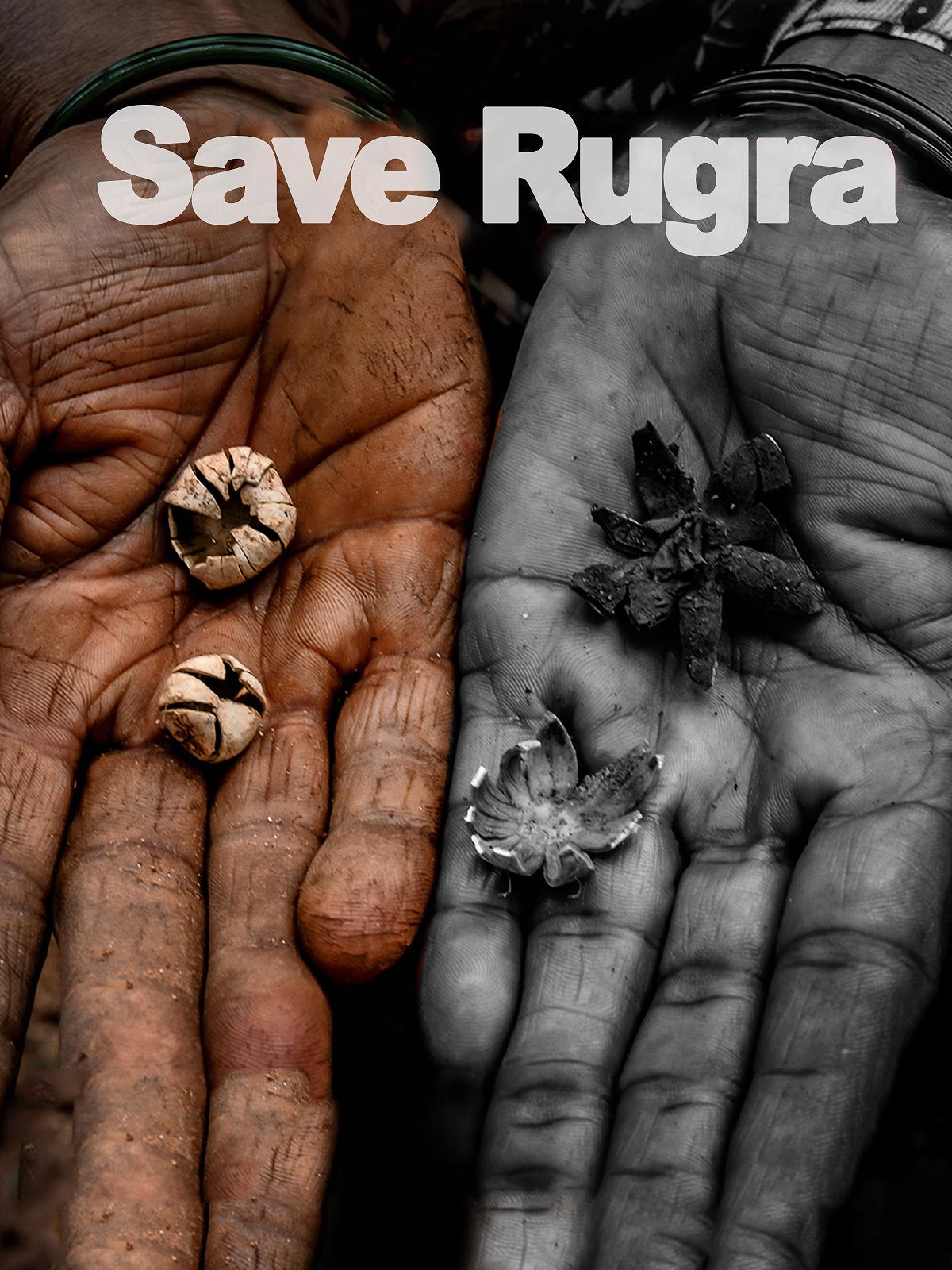 Save Rugra : The Monsoon Delicacy poster