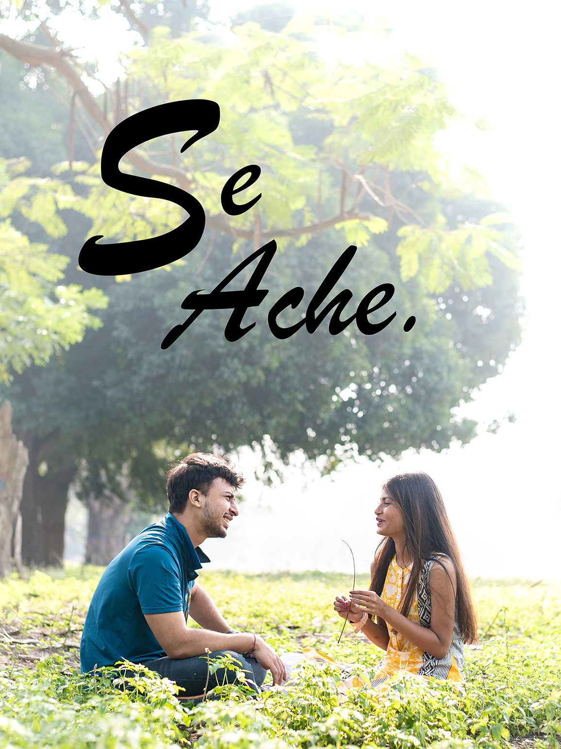 Se Ache poster