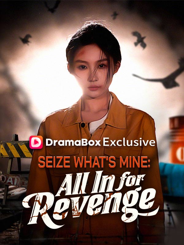 Seize What's Mine: All In for Revenge poster