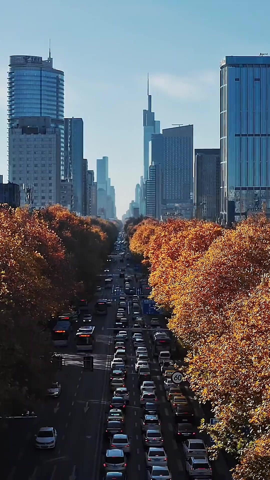 She Knelt. He Ended Them All. poster