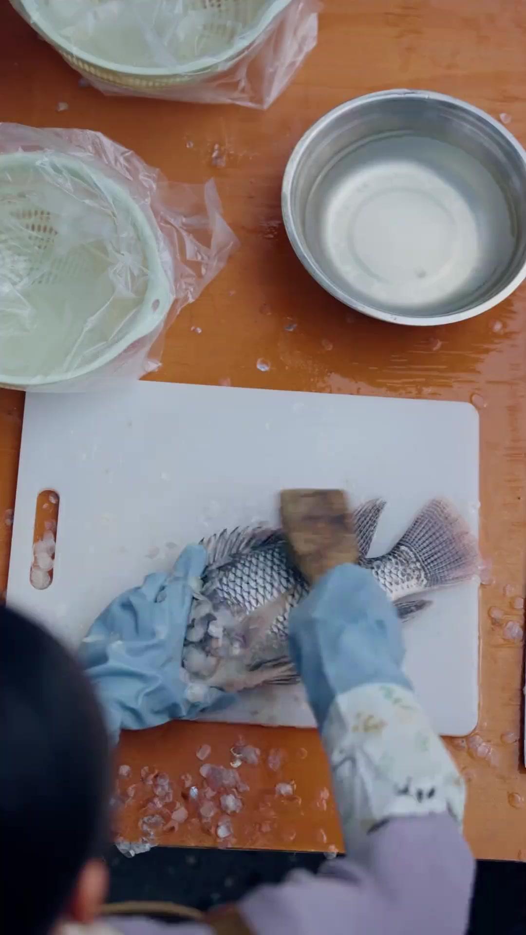 She Roars Back poster