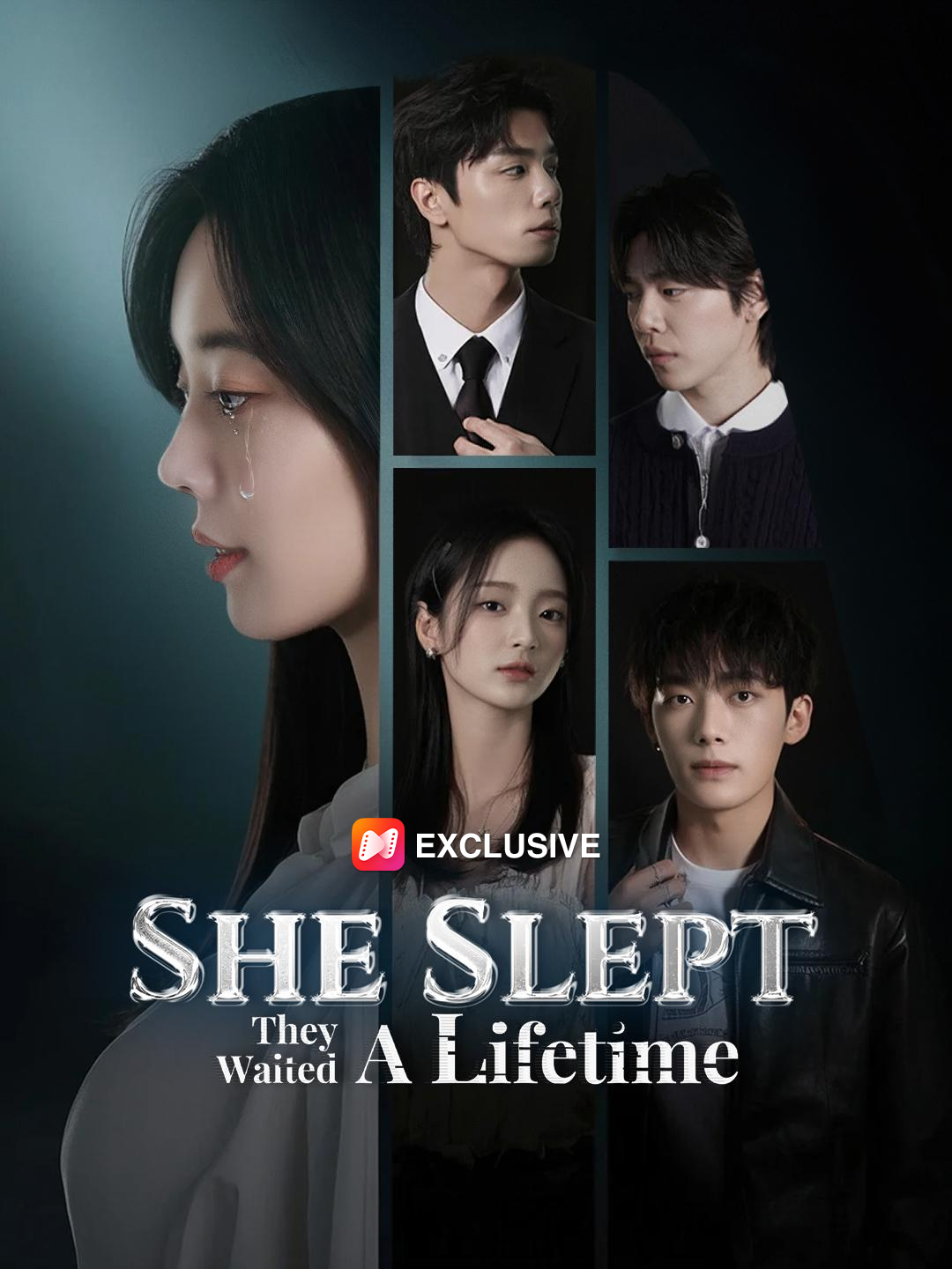 She Slept, They Waited a Lifetime poster