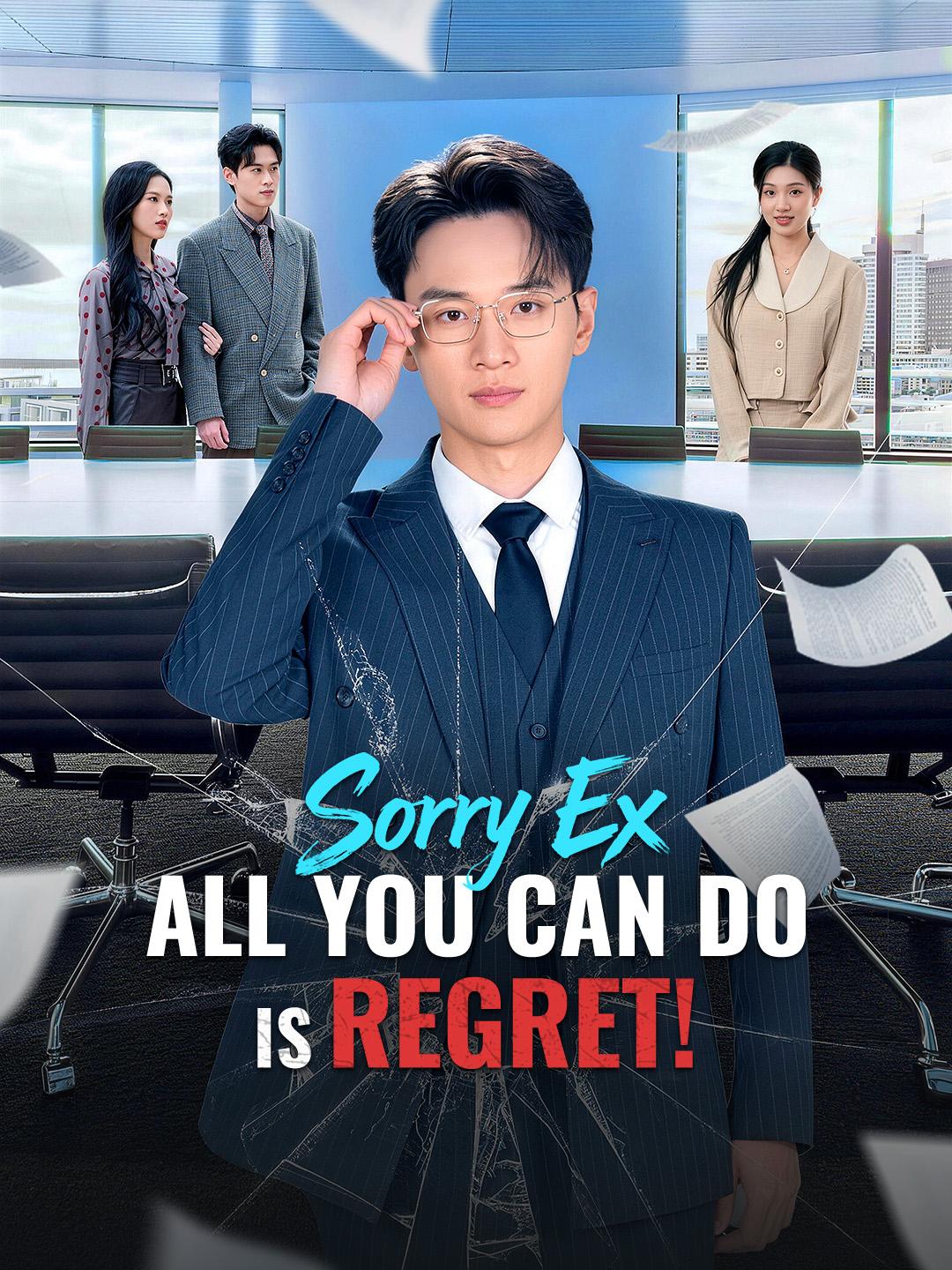 Sorry Ex, All You Can Do is Regret! poster