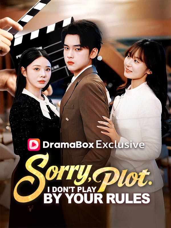 Sorry, Plot. I Don't Play by Your Rules poster