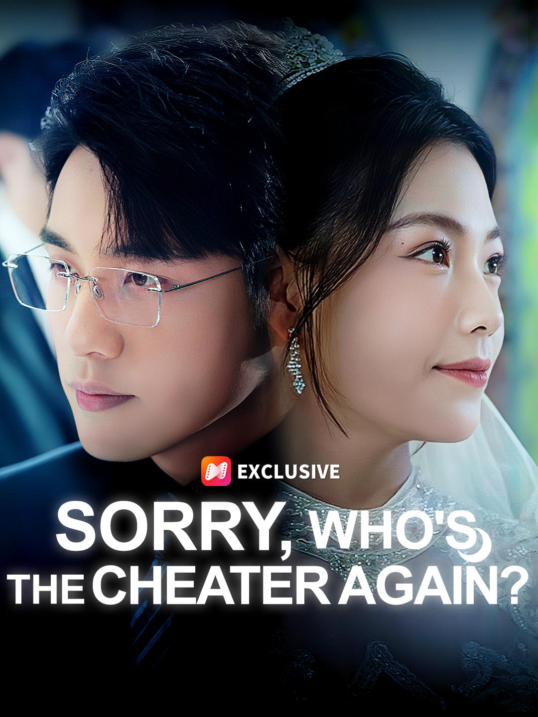 Sorry, Who's the Cheater Again? poster