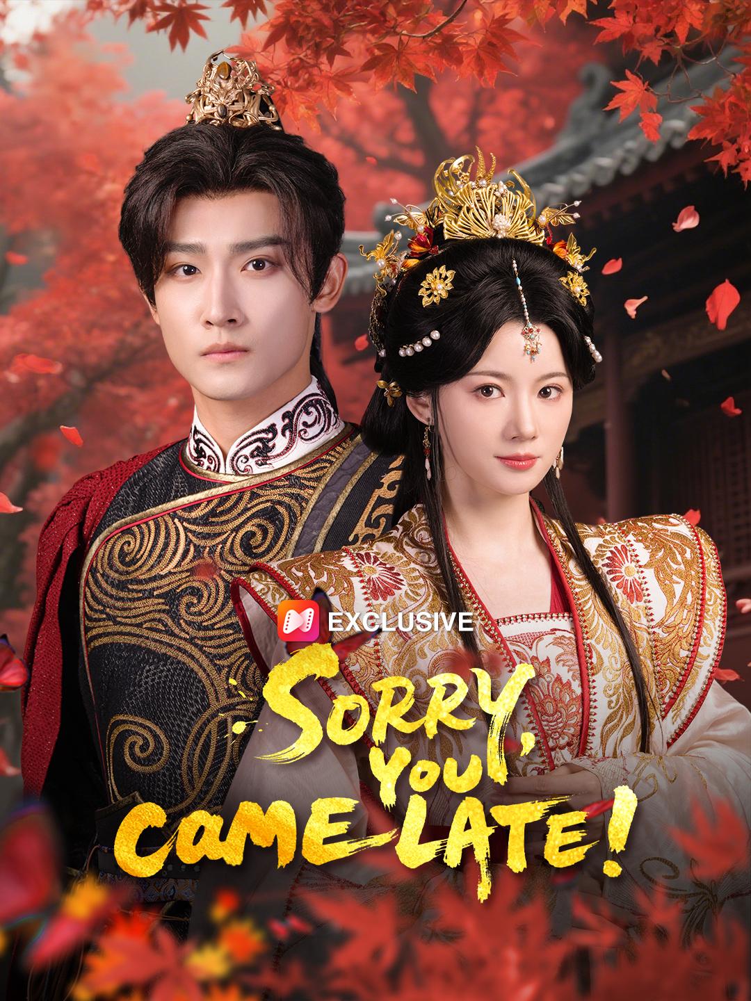 Sorry, You Came Late! poster