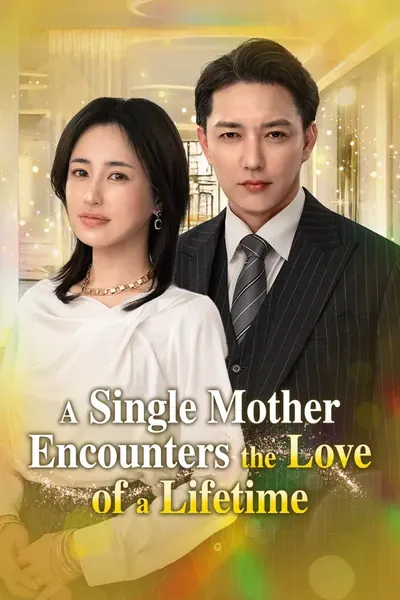 A Single Mother Encounters the Love of a Lifetime poster