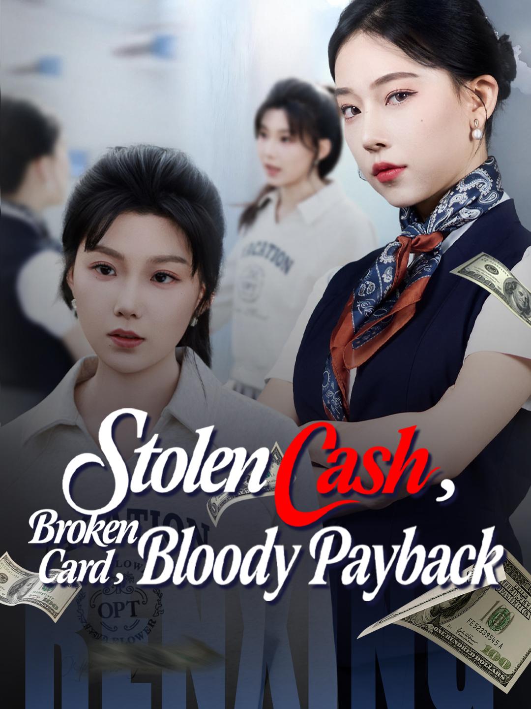 Stolen Cash, Broken Card, Bloody Payback poster