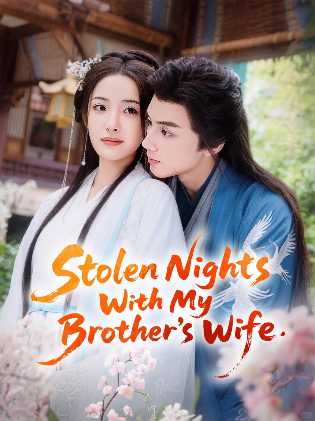 Stolen Nights With My Brother’s Wife poster