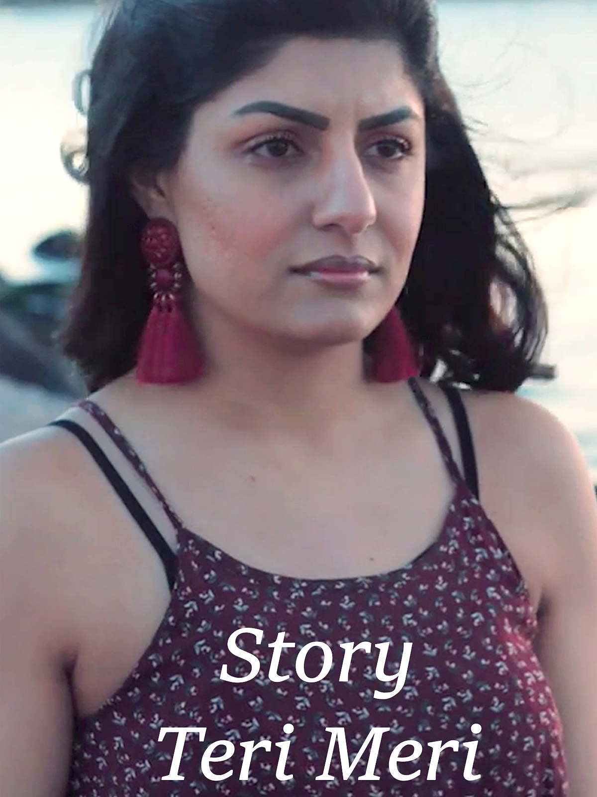 Story Teri Meri poster