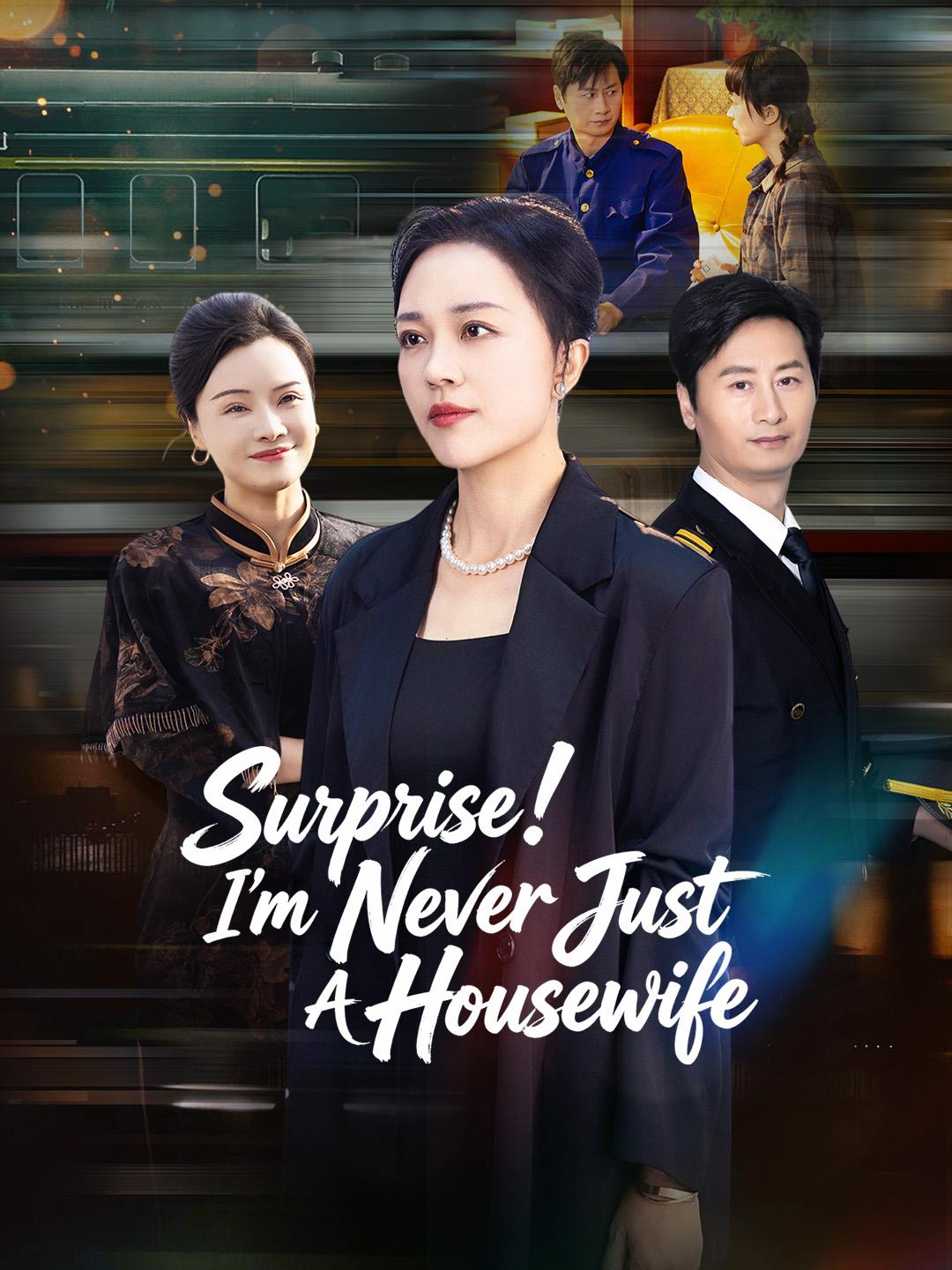 Surprise! I'm Never Just A Housewife poster