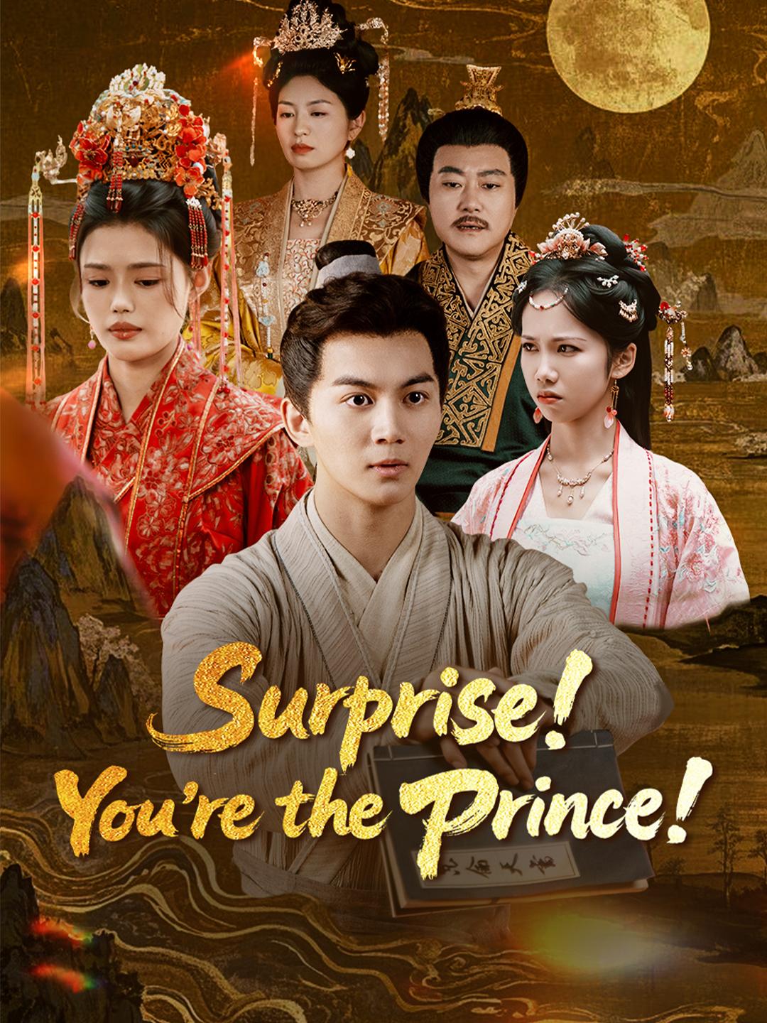 Surprise! You’re the Prince! poster