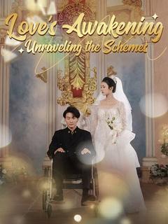 Love’s Awakening: Unraveling the Schemes poster
