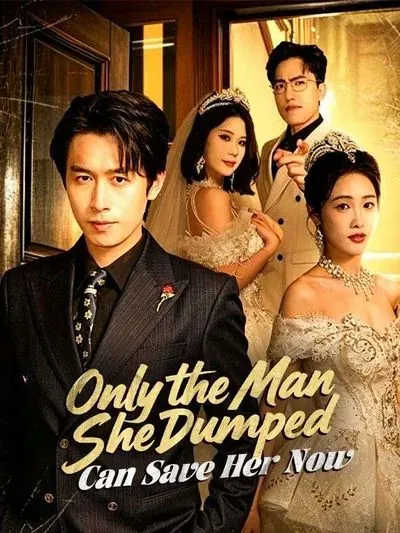 Only the Man She Dumped Can Save Her Now poster