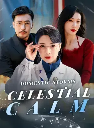 Domestic Storms, Celestial Calm poster