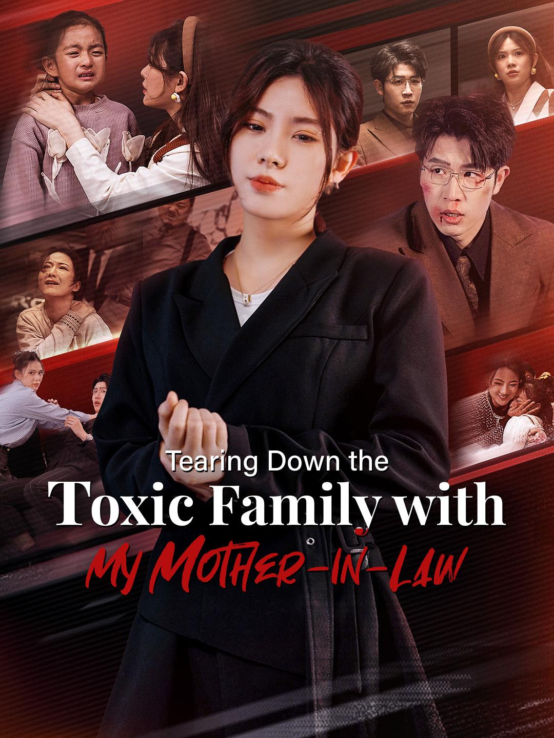 Tearing Down the Toxic Family with My Mother-in-Law poster