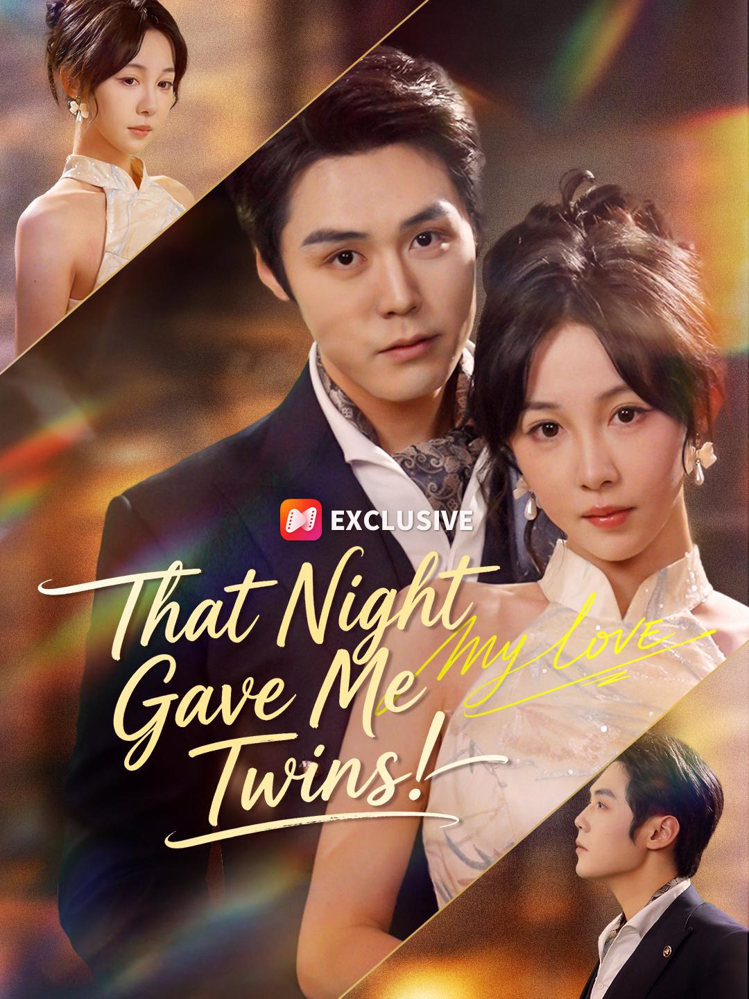 That Night Gave Me Twins! poster