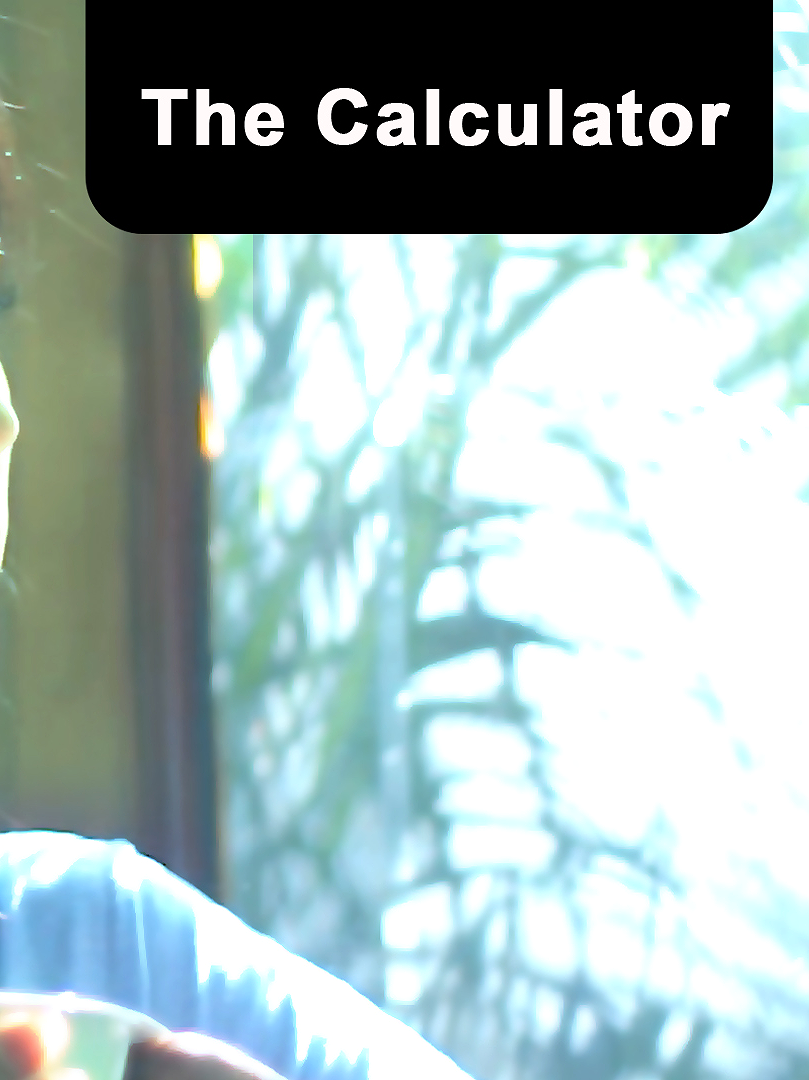 The Calculator poster