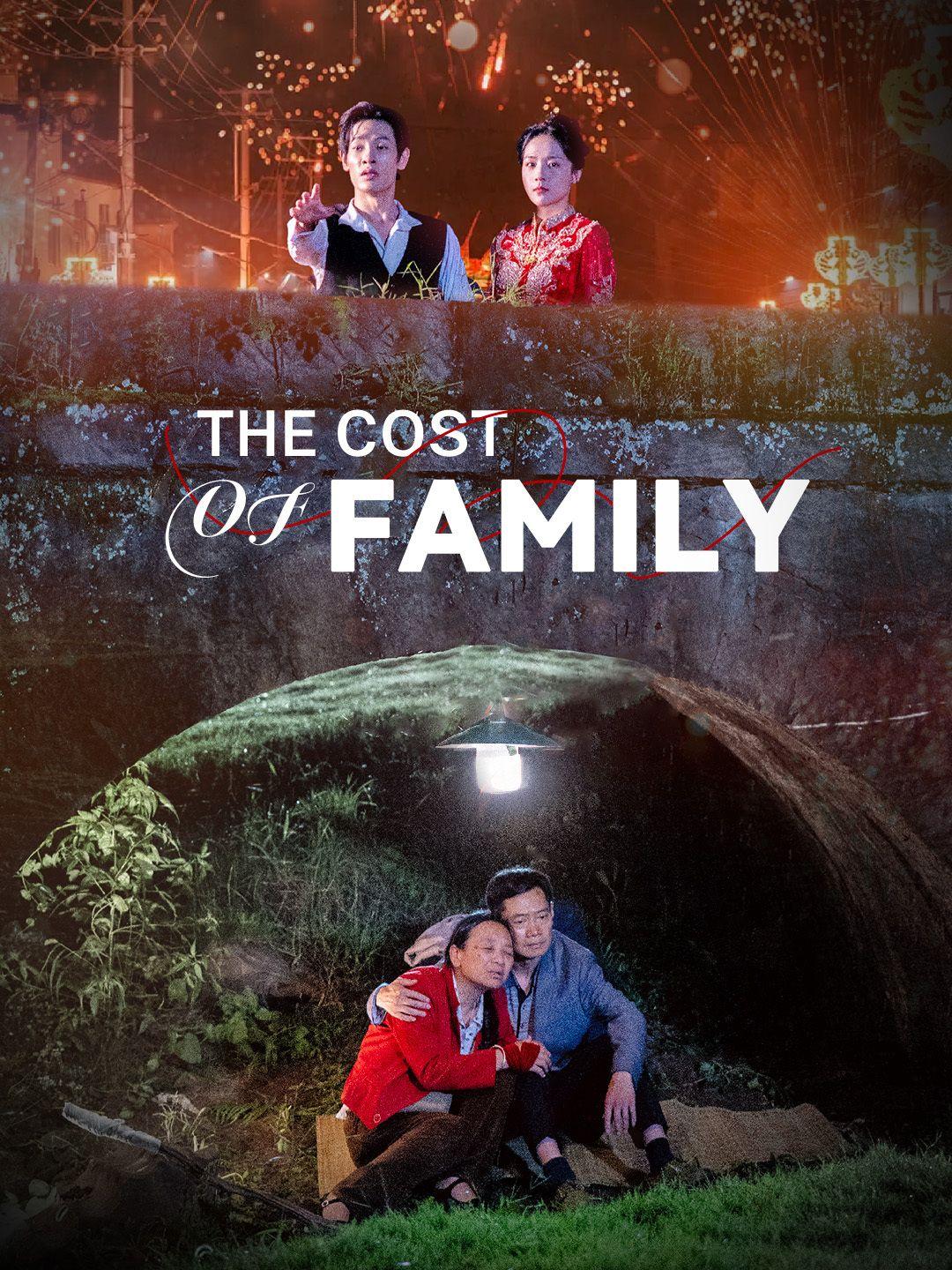 The Cost of Family poster