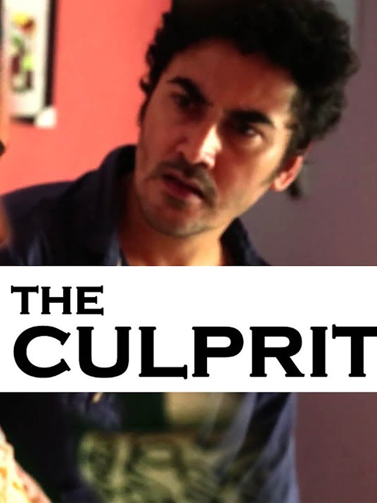 The Culprit poster