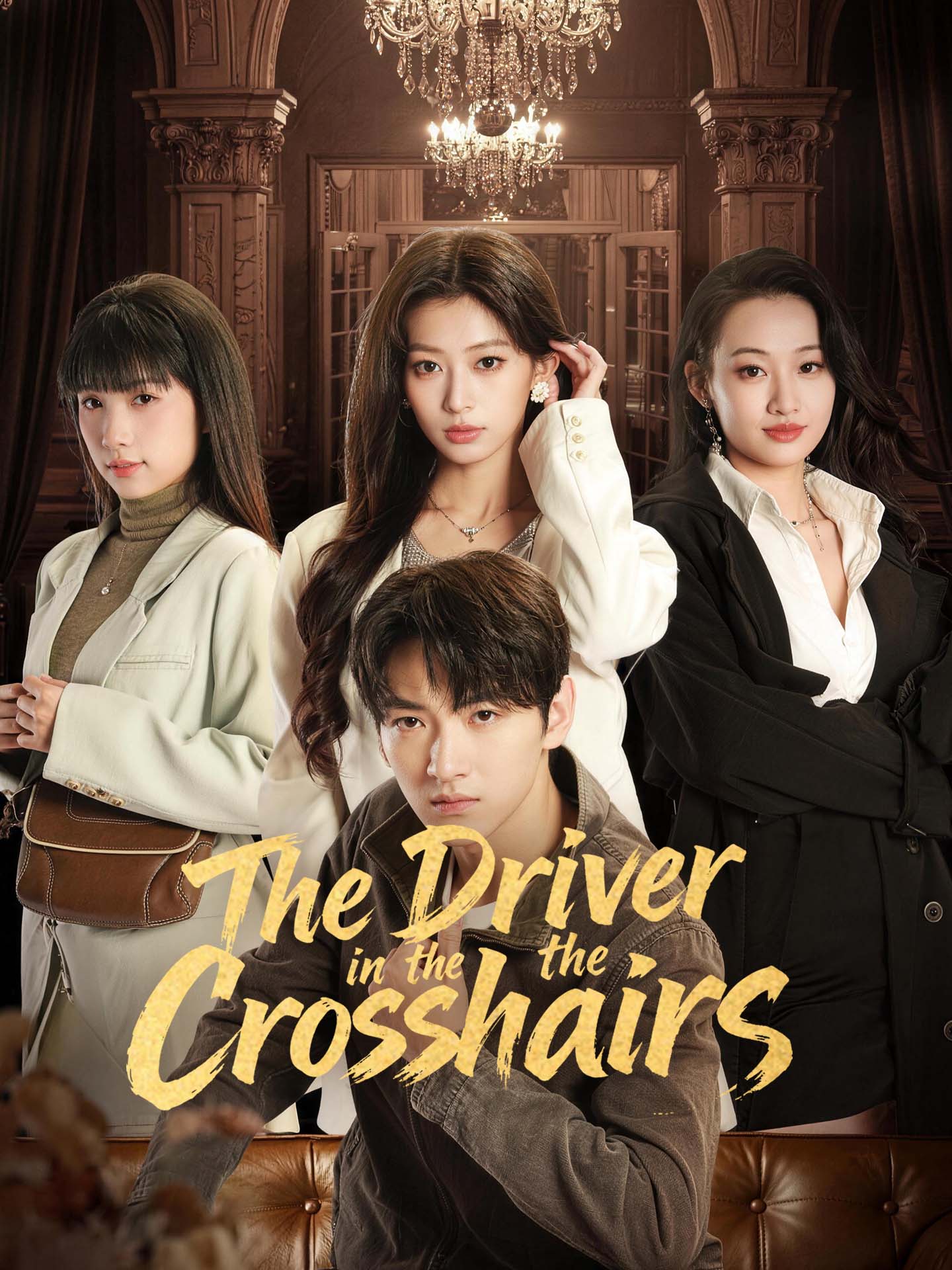 The Driver in the Crosshairs poster