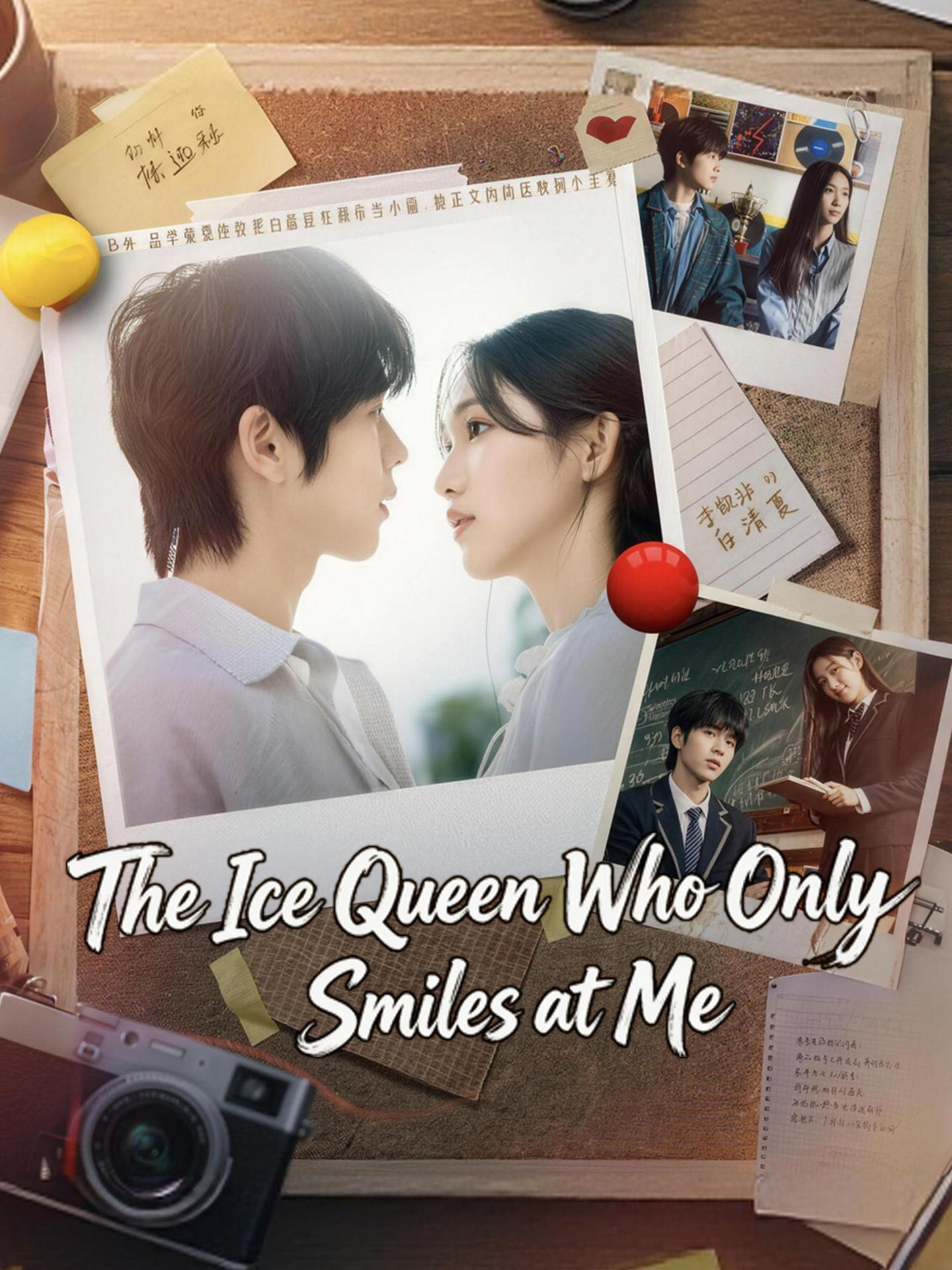 The Ice Queen Who Only Smiles at Me poster