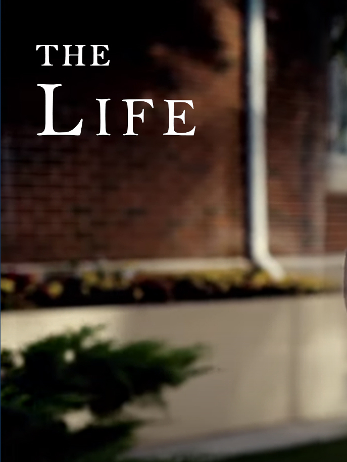 The Life poster