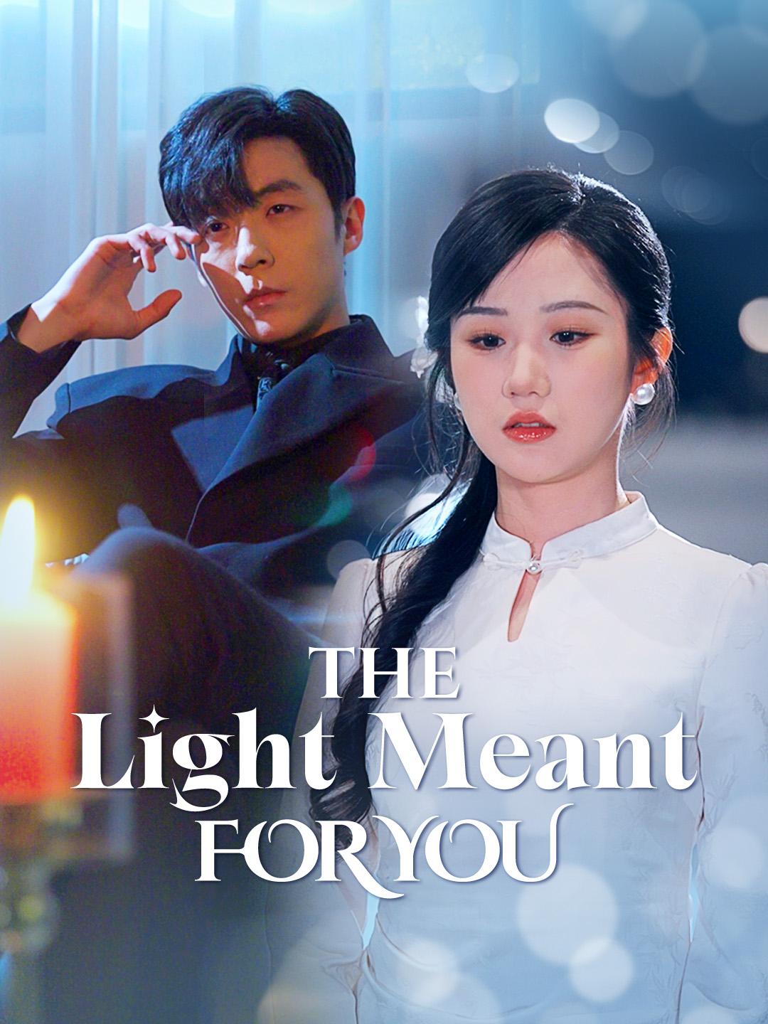 The Light Meant for You poster