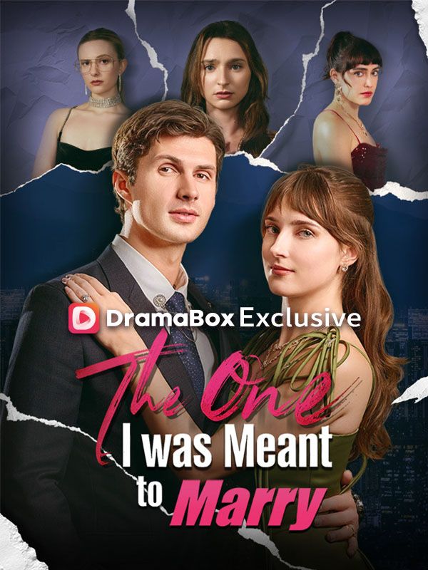 The One I was Meant to Marry poster