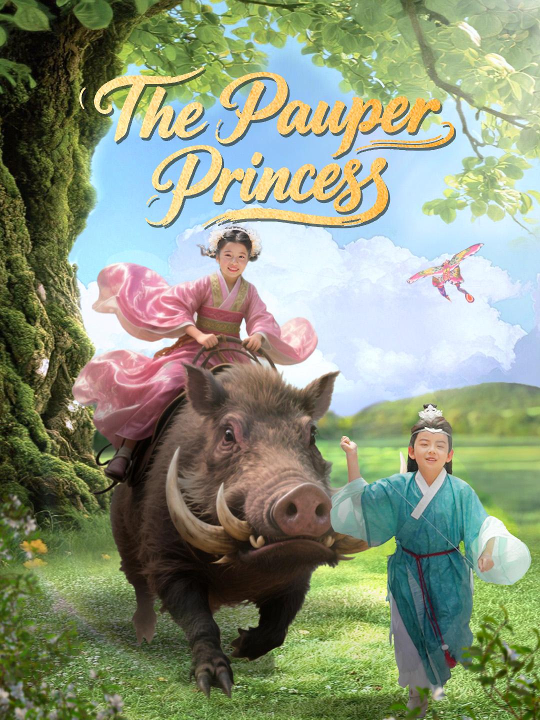The Pauper Princess poster