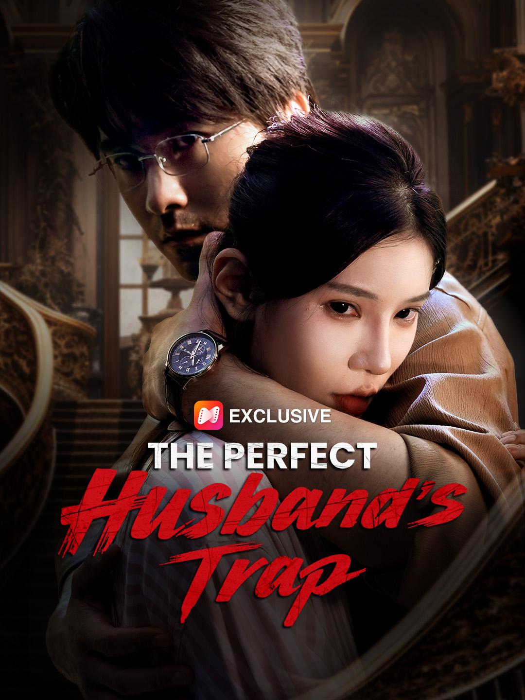 The Perfect Husband’s Trap poster