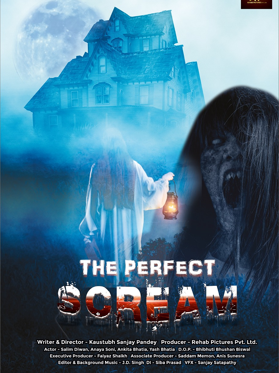 The Perfect Scream poster