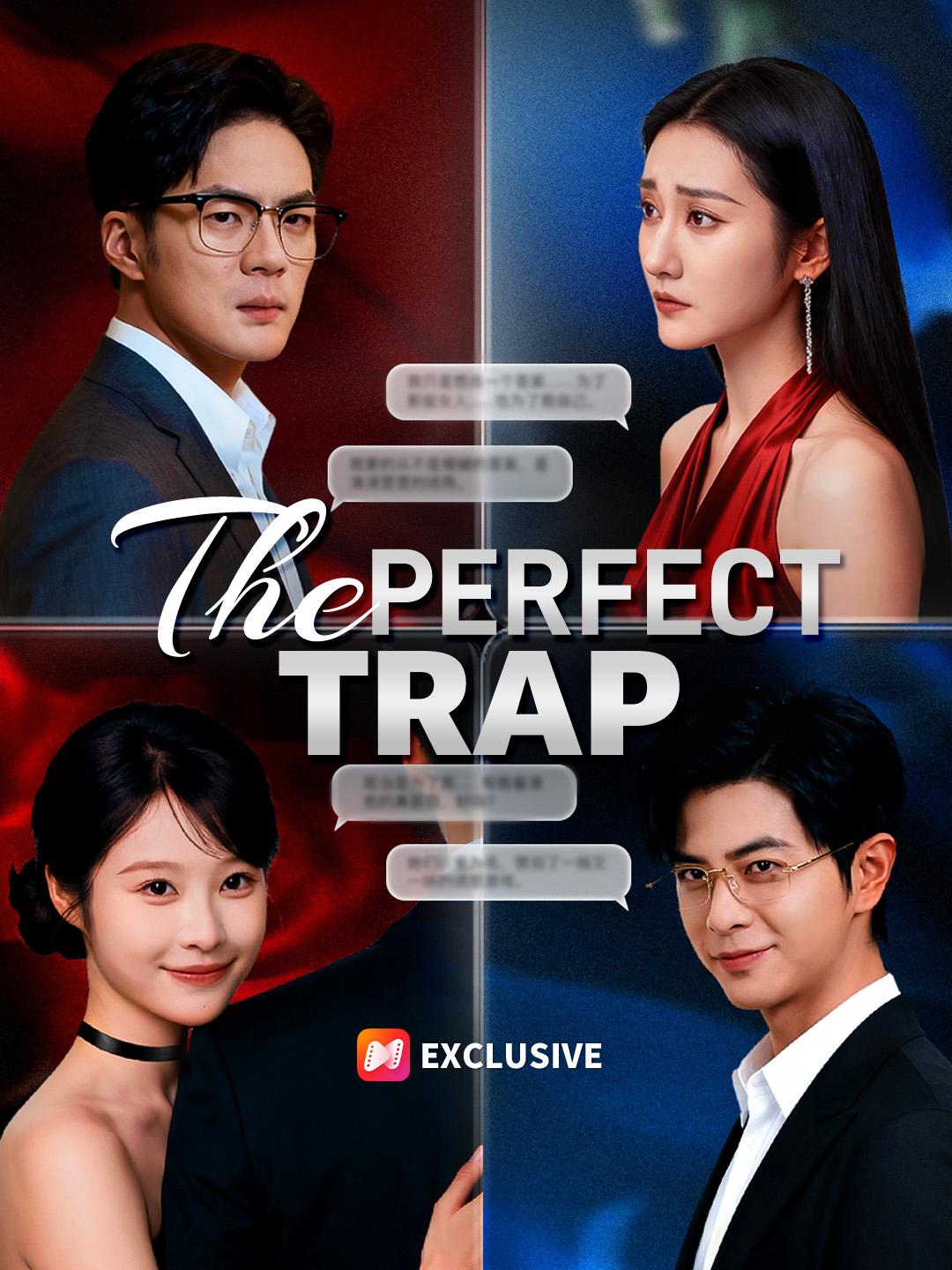The Perfect Trap poster
