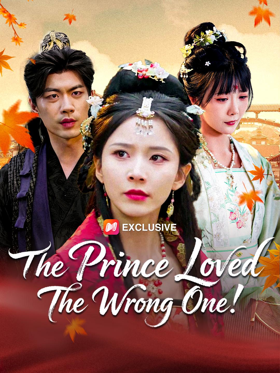 The Prince Loved The Wrong One! poster
