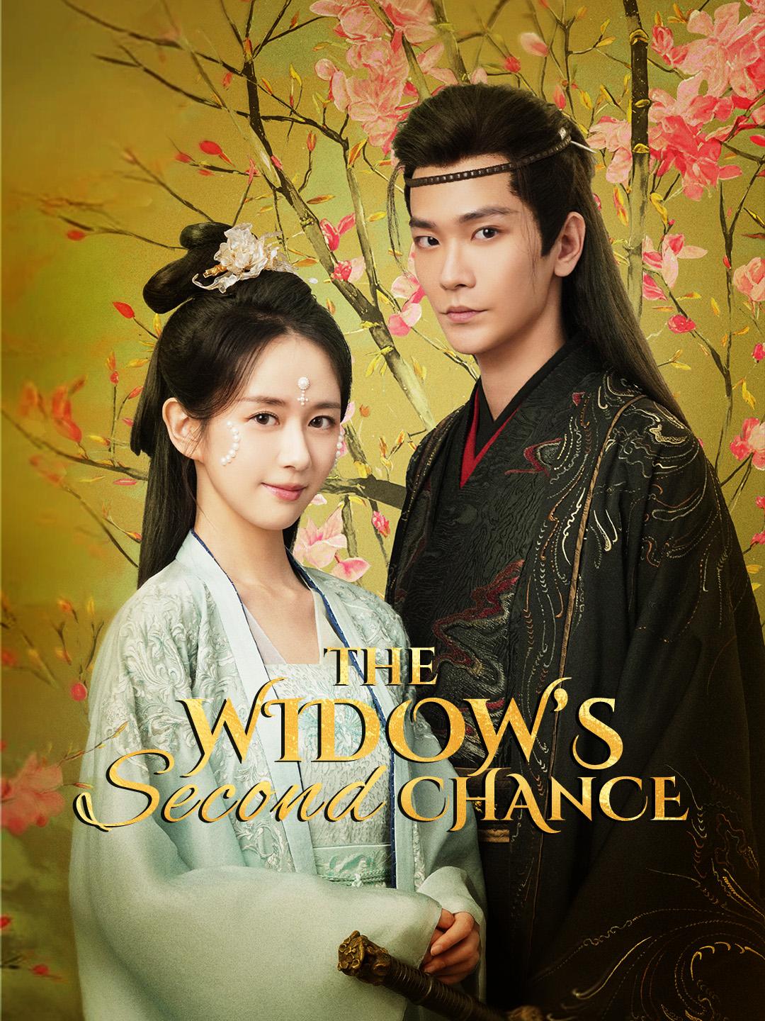 The Widow’s Second Chance poster