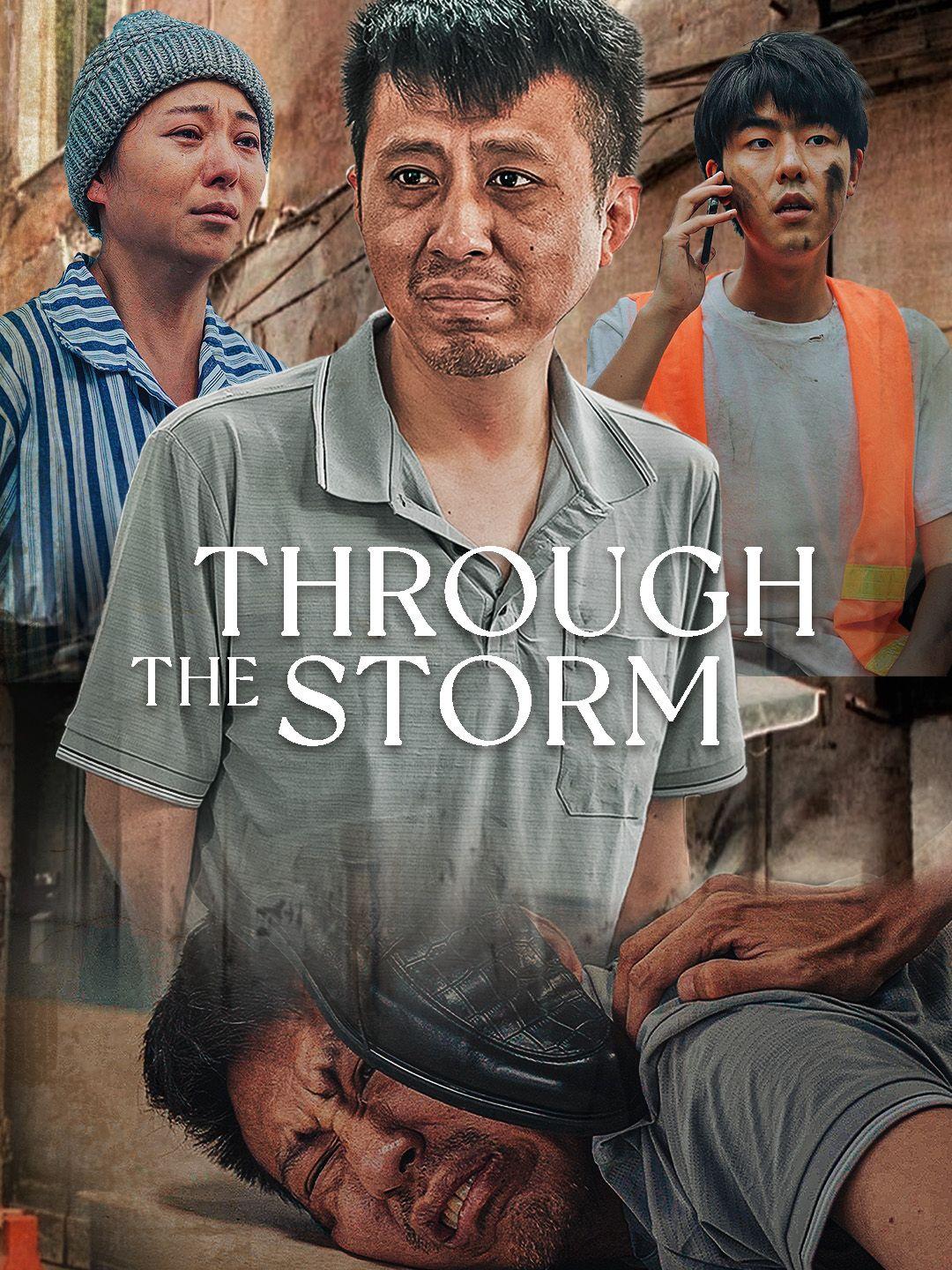 Through the Storm poster